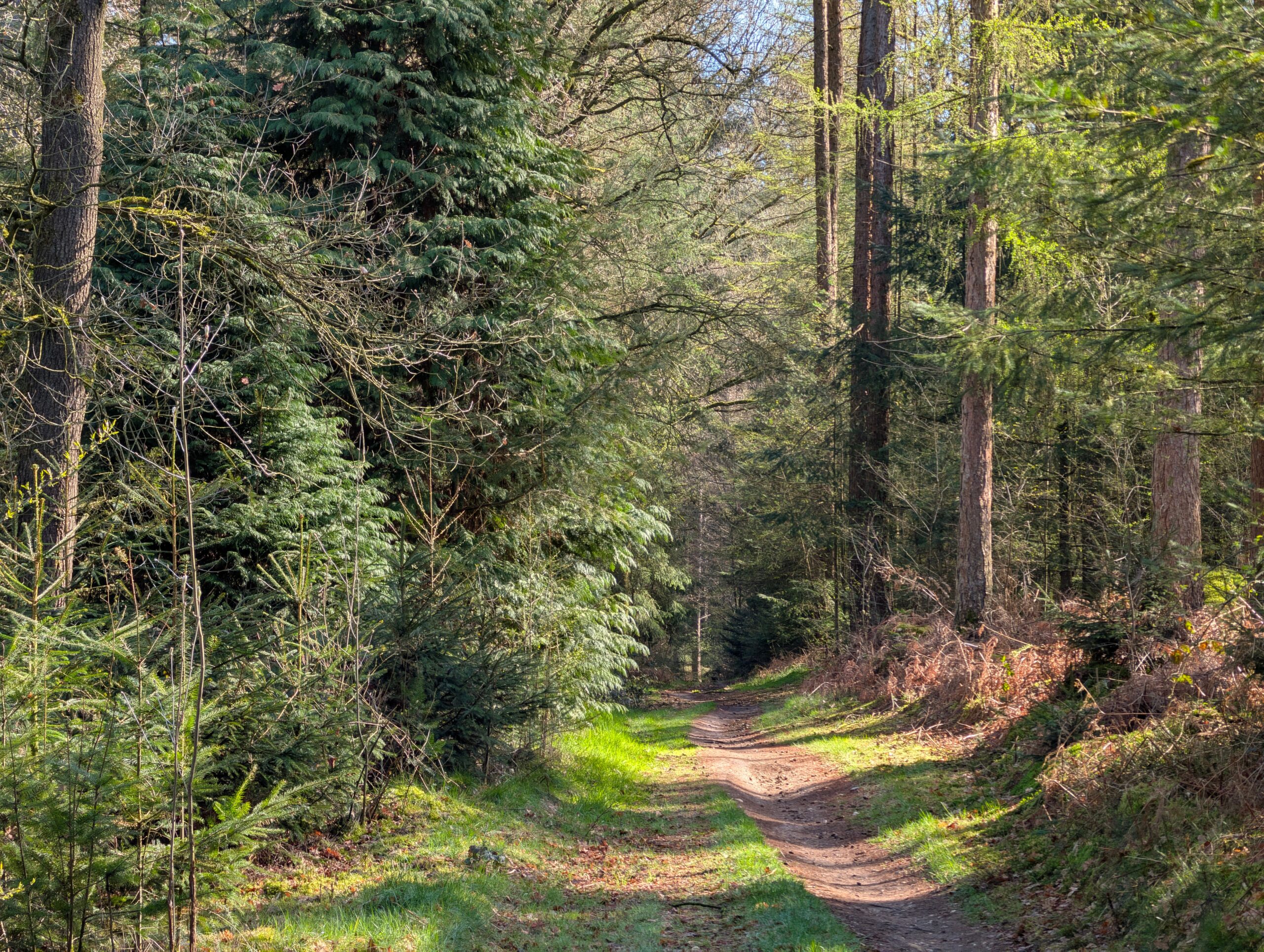https://thestoneage.co/climate-sustainability-human-impact/ https://thestoneage.co/climate-sustainability-human-impact/