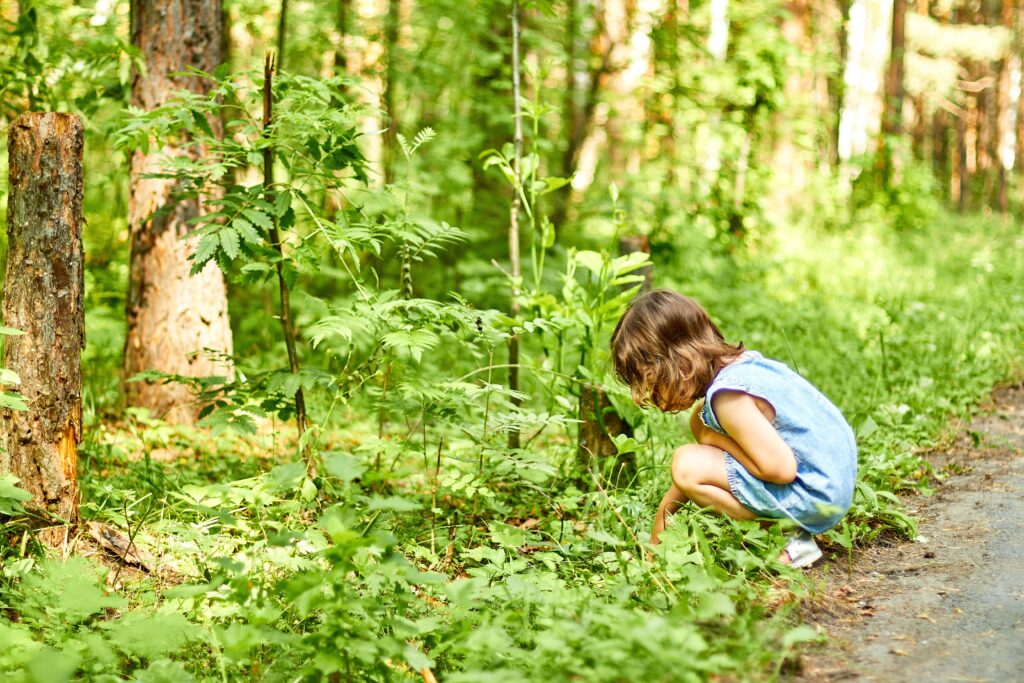 https://thestoneage.co/plant-science-habitats/ https://thestoneage.co/plant-science-habitats/